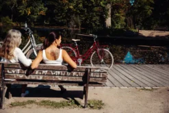 Damenfahrrad Citybike 28 Zoll Maxim Desire Alu Rahmen 7- Gang Shimano -Globbervi Verkaufe 0e59a204ad480b190c0054664e2fe315