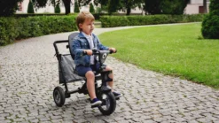 Lionelo Tris Dreirad Laufrad Ab 1 Jahr Kinderdreirad Lenkstange Baby Kinderwagen -Globbervi Verkaufe 1161400d234186a4616e98b12f5816be