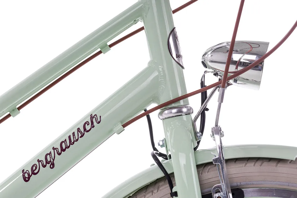 Kinderfahrrad 24 Citybike Bergrausch Marlies 6 Alu Rahmen Shimano 6 Gang Schaltung 6 Kinderfahrrad 24 Citybike Bergrausch Marlies 6 Alu Rahmen Shimano 6 Gang Schaltung – Bild 6