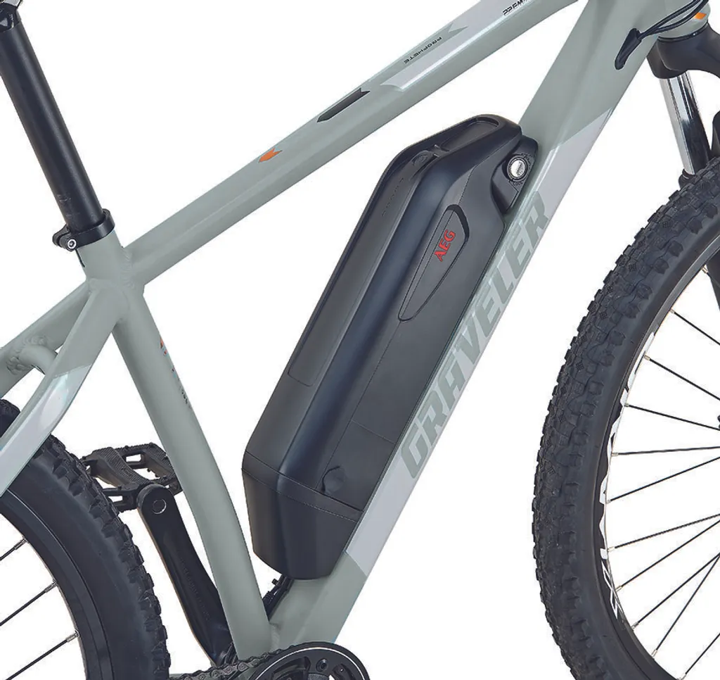 E-MTB 29er, 9-G., Prophete Graveler 22.EMM.20 3 E-MTB 29er, 9-G., Prophete Graveler 22.EMM.20 – Bild 3