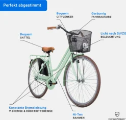 Bergsteiger AmsterdamDamenfahrrad 28 Zoll , Mit Korb, Fahrrad-Licht, Rücktrittbremse, Rahmenhöhe 48 Cm, Hollandrad Im Retro-Design, Farbe Hellgrün -Globbervi Verkaufe 1fbf0eb2fdca4f209901aa12004e26b5 2