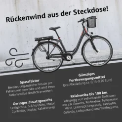 Telefunken E-Bike City 28 Zoll, Frontmotor, 7-Gang Shimano Nabenschaltung, Rücktritt, Fahrradkorb, Elektrofahrrad / Pedelec 468Wh, Multitalent RC657 -Globbervi Verkaufe 273630c42beb3aa33639506c86e943aa