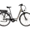 SAXONETTE City Plus E-Bike 45 Cm Silber Matt