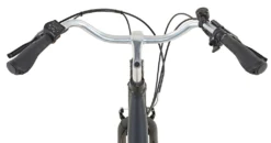 PROPHETE GENIESSER City E-Bike 28" BLAUPUNKT Frontmotor 30 NM 250 Watt BLAUPUNKT Gepäckträgerakku 36 Volt 8,8 Ah 316,8 Wh 7 Gang Kettenschaltung Alu V-Bremsen RH 48 Cm BLAUPUNKT LED Display -Globbervi Verkaufe 4148792b3ad5860d8fb1f7fef7238c28