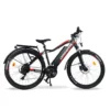 Urbanbiker Dakota FE, E-Mountainbike, Herausnehmbarer Lithium-Akku 840WH (48v 17.5Ah), Heckmotor 250W, 29 Zoll, Hydraulische Scheibenbremsen, Rot, Damen Und Herren, Mountainbike