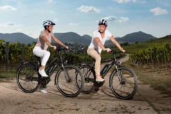 FISCHER E-Bike Pedelec Trekking VIATOR ETD 1861 Damen, Rahmenhöhe 44 Cm, 28 Zoll, Akku 557 Wh, Mittelmotor, Kettenschaltung, LCD Display, Schwarz 38 FISCHER E-Bike Pedelec Trekking VIATOR ETD 1861 Damen, Rahmenhöhe 44 Cm, 28 Zoll, Akku 557 Wh, Mittelmotor, Kettenschaltung, LCD Display, Schwarz -Globbervi Verkaufe 5096050aa344ee071c1e2c89f1531355