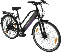 MAXTRON Trekking Elektro-Bike, 28 Zoll, Hinterradmotor