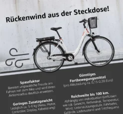 Telefunken E-Bike 28 Zoll Citybike Pedelec 7-Gang Shimano Nabenschaltung Schwalbe Reifen RC657-S -Globbervi Verkaufe 7ebc4db393d2c47bdf518937eea963a9