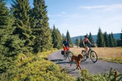 Breluxx® 26 Zoll Mountainbike Aluminium FS Alaska Sport D2, Scheibenbremsen - Schwarz Grau , 21 Gang Shimano -Globbervi Verkaufe 881ef84129c70bad4b9b4d484e6ead17