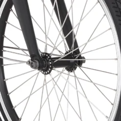 FISCHER E-Bike Pedelec Faltrad Agilo, Rahmenhöhe 36 Cm, 20 Zoll, Akku 374 Wh, Hinterradmotor, Kettenschaltung, LCD Display, Schwarz -Globbervi Verkaufe 97bfff0ccb97d77ef79035e67685b616