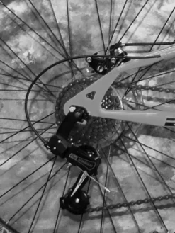 26 Zoll MTB Blackrider Vollgefedert 21-Gang Shimano Kettenschaltung Mit Scheibenbremsen NEU 2638-SCHWARZ-ROT -Globbervi Verkaufe 9e0e6366075b6ef544232fd19ed3d52b