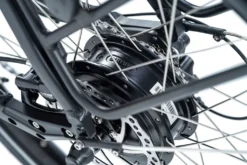 Adore Cargo E-Bike Urban Plus Schwarz Kettenantrieb -Globbervi Verkaufe b2012edeada3d4b1a2ba36096566d97d