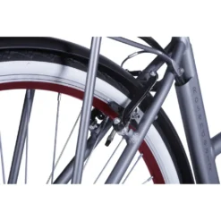 LLobe E-Bike 28" Rosendaal 2 Lady Grau, Batterie 36V/15,6Ah, 3-Gang Shimano -Globbervi Verkaufe b31517c71b022fad654537ceda26fcb6