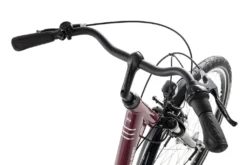Raleigh CHESTER 7 R Wave 2022, Farbe:cassis, Rahmengröße:55 Cm, Laufradgröße:28 Zoll -Globbervi Verkaufe b38510076f0105b2f2e678cae466d7d5