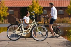 FISCHER E-Bike Pedelec City CITA ER1804, Rahmenhöhe 48 Cm, 28 Zoll, Akku 317 Wh, Vorderradmotor, Tiefer Einstieg, Retro Vintage, Rücktritt, Nabenschaltung, LED Display, Beige -Globbervi Verkaufe b46c1414f3e2a6b4a6354d4b059199ba