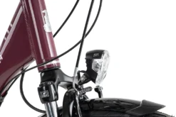 Raleigh CHESTER 7 R Wave 2022, Farbe:cassis, Rahmengröße:55 Cm, Laufradgröße:28 Zoll -Globbervi Verkaufe c53cd273620e1cc7e021773e7cbc5f3a
