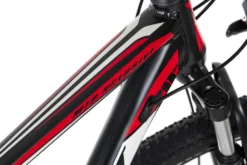 KS Cycling Mountainbike Hardtail 29 Zoll Xplicit -Globbervi Verkaufe c773cdb9b64f97e298caf006da7556b6