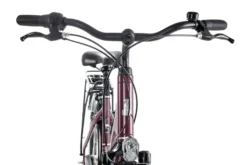 Raleigh CHESTER 7 R Wave 2022, Farbe:cassis, Rahmengröße:55 Cm, Laufradgröße:28 Zoll -Globbervi Verkaufe cec230897e3681d90db972408f0dd929