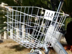 Elektrofahrrad 250W / 36V E-Bike 26" Pedelec Fahrrad Mit Motor Citybike Elektro City Fahrrad 250 Watt 26 Zoll - Silber -Globbervi Verkaufe d00fd9ba9ede80cb0bf9f4c6517c4c1c