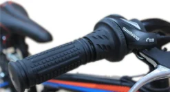 24 Zoll Fahrrad MTB Mit Beleuchtung Und SHIMANO 21-Gang FSTR Grün -Globbervi Verkaufe d1e386f18930d833154753897ffa2fed