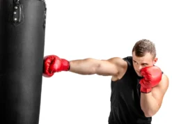 Hop-Sport HS-1054K Kraftstation Für Zuhause - Fitnessstation Mit 3 Stationen + 72 Kg, Inkl. Boxsack, Boxhandschuhe Und Kurzhanteln (2x1,5kg) -Globbervi Verkaufe ddb5e664ca60a80e4b0c1ac29b240cbb