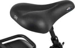 Adore Pedelec E-Bike Damen Cityrad 28'' Adore Marseille Schwarz -Globbervi Verkaufe ece5cae7d3b80f9f1f3a7d2f3030d190