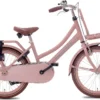 Valetta Cargo Kinderfahrrad Hollandrad 20 Zoll Mädchen Matt Flamingo
