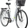 Zündapp Z517 E Bike Damenfahrrad 28 Zoll 155 - 190 Cm Mit 7 Gang Nabenschaltung Rücktritt Pedelec Hollandrad Citybike Nabenmotor